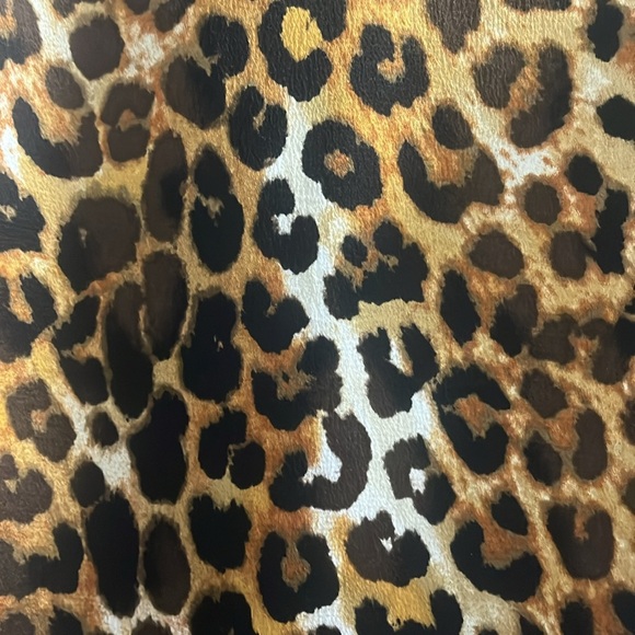 Express Tank - Picture 2 of 4